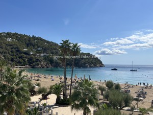 img_1251.JPG